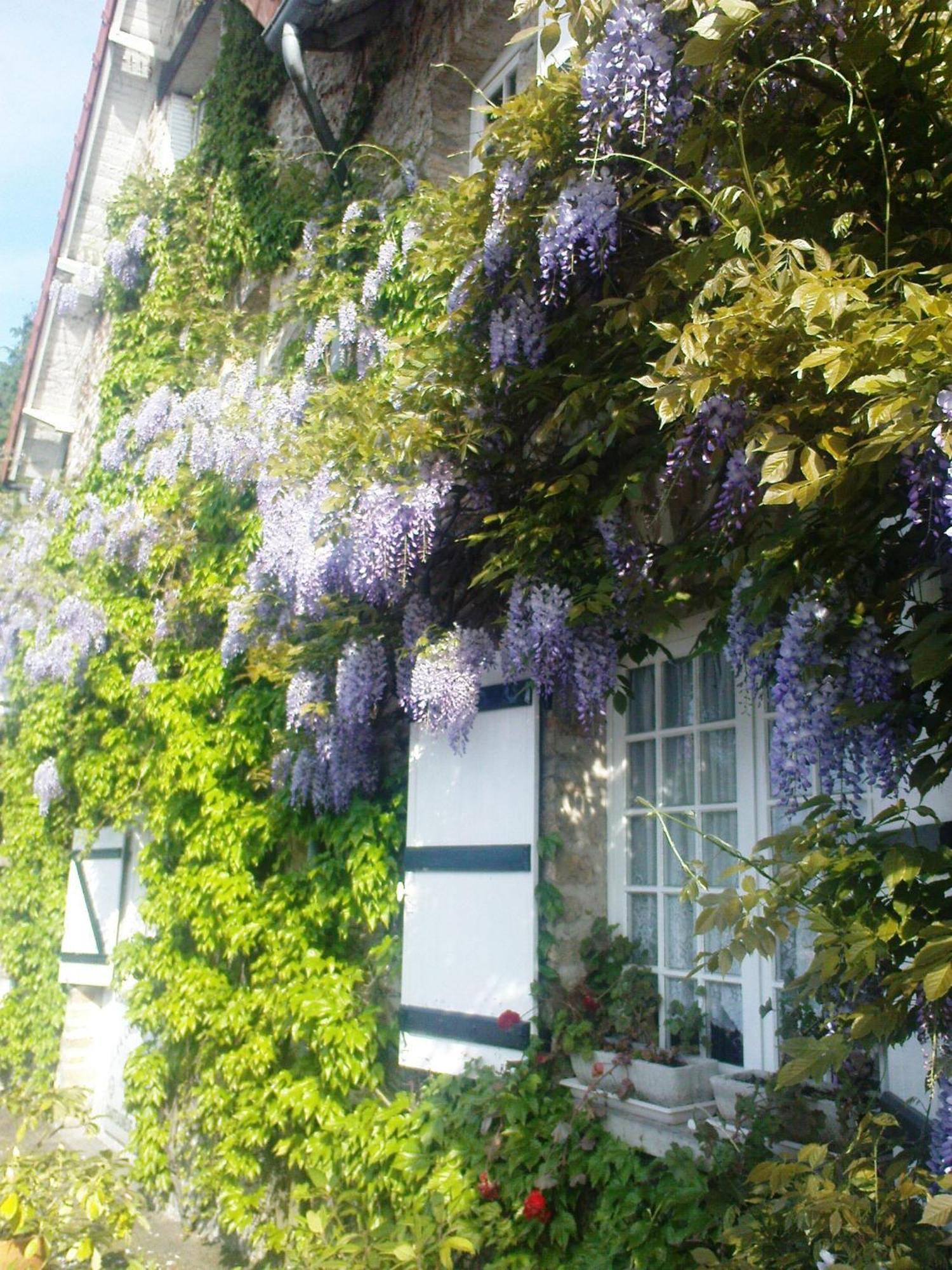 Bed and Breakfast La Croix Du Reh Châteauneuf-la-Forêt Exterior foto
